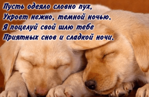 Красивые, ласковые, нежные, приятные слова и признания любимому мужчине