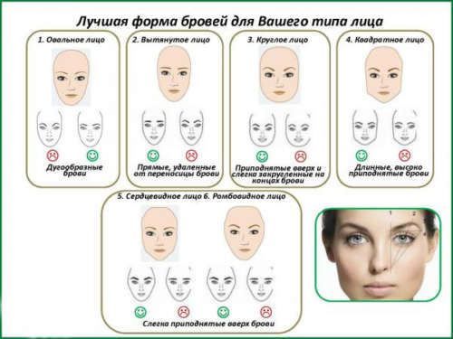 Коррекция бровей в домашних условиях - пошаговая инструкция с видео