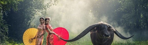 Лучшие туры на Новый год 2020. Экскурсионные туры на Новый год 2020 — обзор. Дешевые туры на Новый год 2020