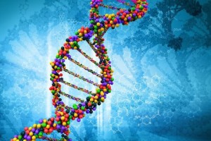 Ученые нашли ген, который связан с исключительно низким IQ у детей